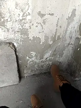 Snapshot of Mar81 chatting on February 2026 01:06:01 PM Mar81 online show from February 2026 01:06:01 PM