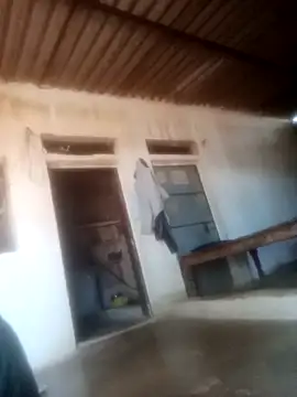 Pinki rajak online show from March 2026 11:17:02 AM