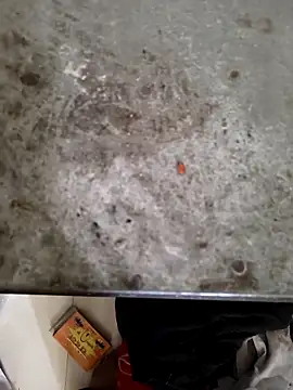 Niteenku online show from March 2026 11:10:01 AM