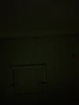 reckless 34 online show from February 2026 11:52:02 PM