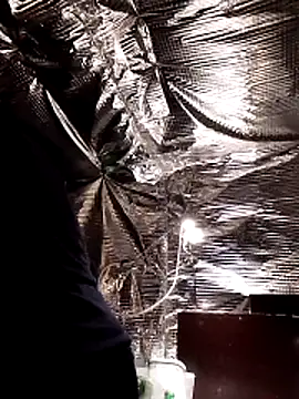 Snapshot of Quebec46 chatting on February 2026 10:10:02 PM Quebec46 online show from February 2026 10:10:02 PM