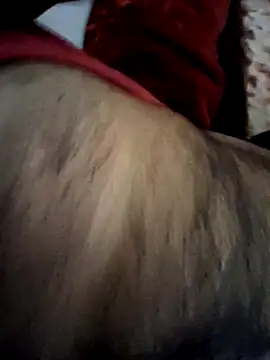 aman4404 online show from February 2026 09:00:02 AM