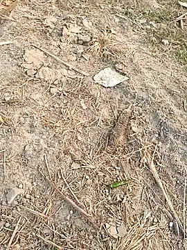 sexloverg7 online show from December 2025 10:41:02 AM