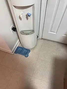 Snapshot of tigre6911 chatting on December 2025 09:36:02 AM tigre6911 online show from December 2025 09:36:02 AM