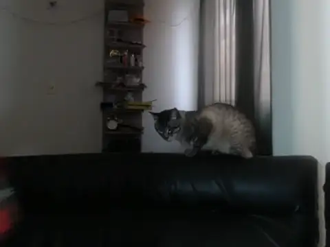 Snapshot of BeautyYoungblond chatting on February 2026 10:26:02 PM BeautyYoungblond online show from February 2026 10:26:02 PM