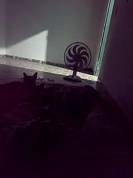 WPS15 online show from April 2026 11:27:02 PM