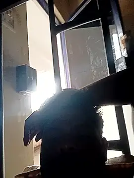 Anji8639 online show from April 2026 11:53:02 AM