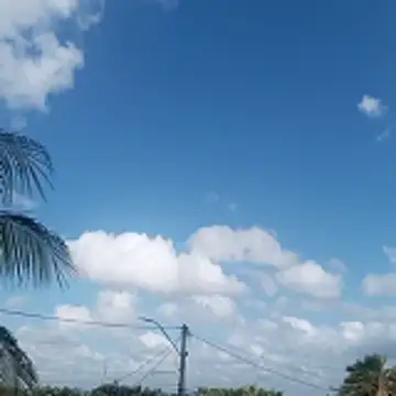 xxbucetudaxxx online show from January 2026 11:15:02 AM