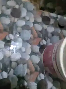 hydhunk26 online show from March 2026 05:50:02 PM