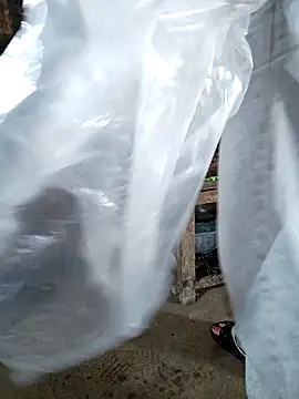 hangnga89 online show from March 2026 02:57:02 AM