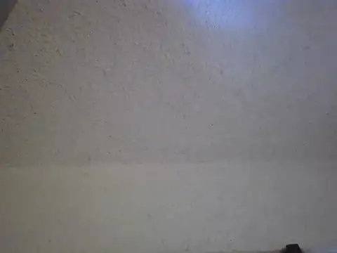 zandyplus online show from April 2026 10:13:01 AM