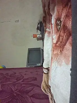 yourburget online show from March 2026 10:38:01 PM