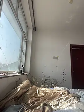 Snapshot of Qidandan778 chatting on March 2026 04:29:01 AM Qidandan778 online show from March 2026 04:29:01 AM