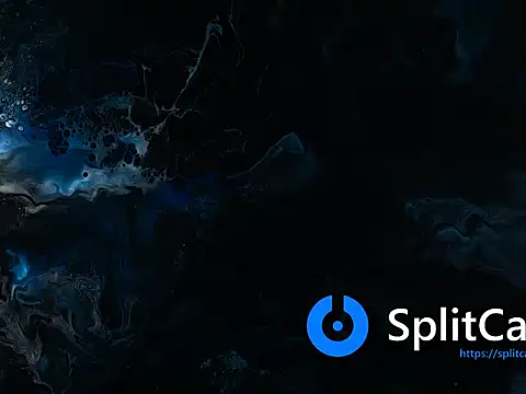 Alice NY online show from January 2026 06:15:02 AM