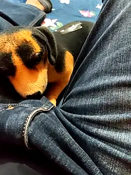 12vxyz online show from June 2026 08:23:02 AM