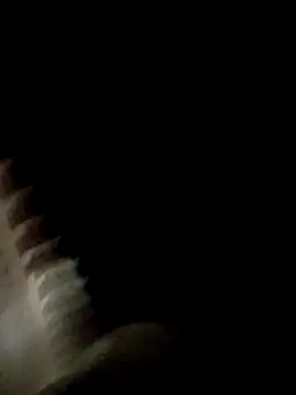 Fefe2805 online show from April 2026 02:12:02 AM