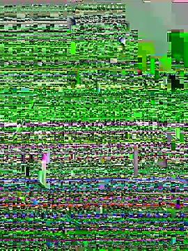 lzinho9153 online show from April 2026 04:19:01 PM