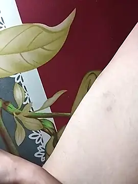 huuluat2 online show from January 2026 11:41:02 PM