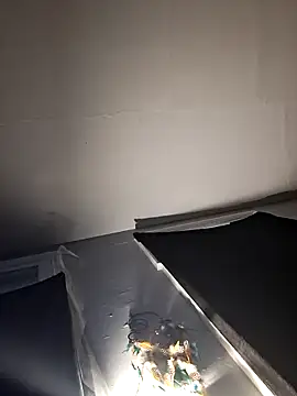 RealisedBooking online show from February 2026 12:04:02 PM