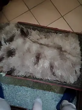 TAMI61 online show from March 2026 02:45:01 PM