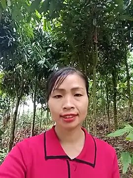 xiaogoal online show from June 2026 03:15:02 AM