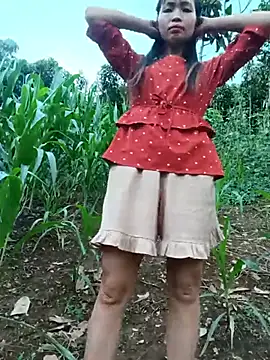 xiaogoal online show from June 2026 11:46:02 AM