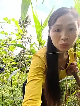 xiaogoal online show from July 2026 01:23:01 AM