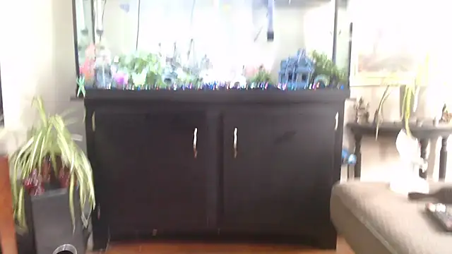 EspanolVato online show from April 2026 07:58:02 PM