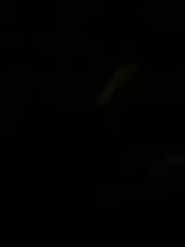 Snapshot of Herr_Snusk chatting on July 2026 12:12:01 AM Herr Snusk online show from July 2026 12:12:01 AM