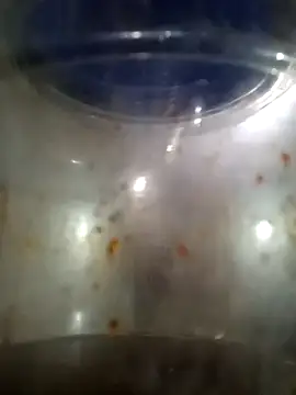 him220 online show from March 2026 02:07:01 AM