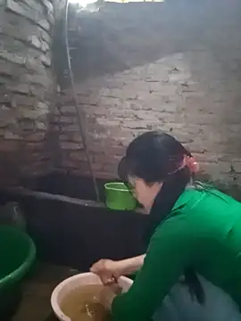 him220 online show from March 2026 08:19:01 AM