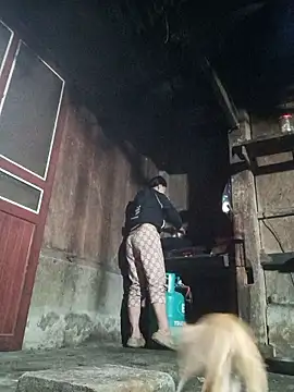 Piu 18 online show from January 2026 11:14:02 AM