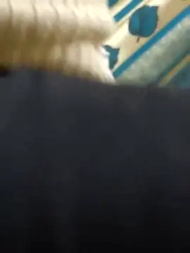 Snapshot of couple_fun_ chatting on March 2026 11:00:02 PM couple fun online show from March 2026 11:00:02 PM