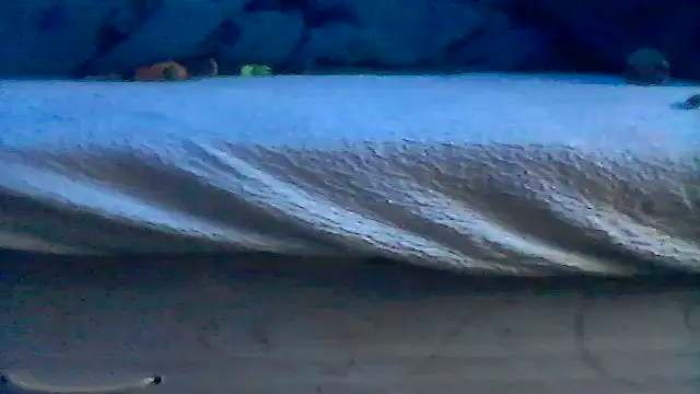 Silencio26 online show from April 2026 06:10:01 PM