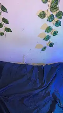 Isabella Belmont online show from April 2026 07:58:02 AM