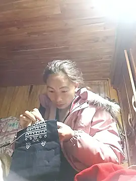 Nllpvp online show from January 2026 02:49:02 AM