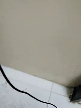 Aarti cd2 online show from January 2026 07:59:01 PM