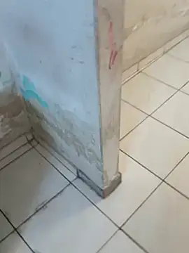     gozada---- online show from January 2026 06:43:02 PM