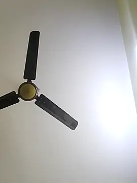 trinasa online show from January 2026 08:03:01 PM