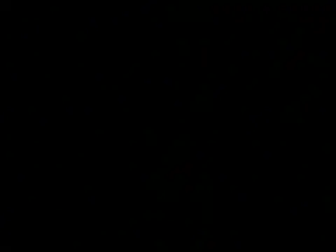 Blackkksnow online show from July 2026 11:41:01 AM