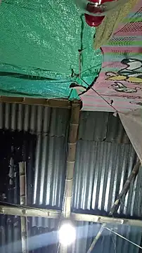 meganparixx online show from March 2026 03:45:02 AM