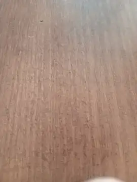 Kmali5465 online show from February 2026 05:07:02 PM