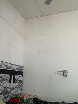 Zarayanga online show from January 2026 11:04:01 AM