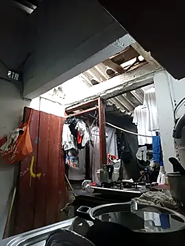 PatriciaGrajales online show from March 2026 04:02:01 PM