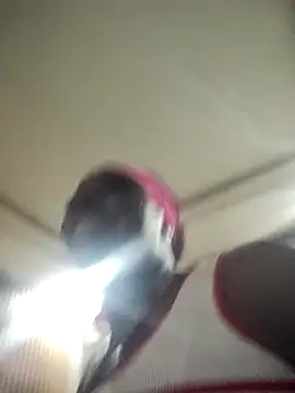 EngelSmith  online show from February 2026 12:21:01 PM