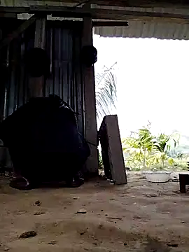 Ginny 2x online show from March 2026 04:07:02 AM