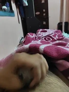 urfucrohit online show from February 2026 08:25:02 PM