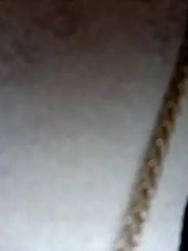 Dante Knox online show from February 2026 12:30:02 PM