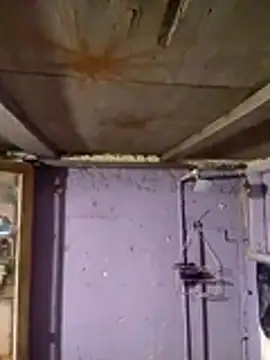 Guanatos13 online show from February 2026 05:17:01 AM