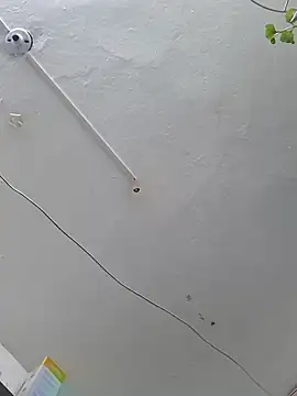 mago vive online show from April 2026 07:20:01 AM